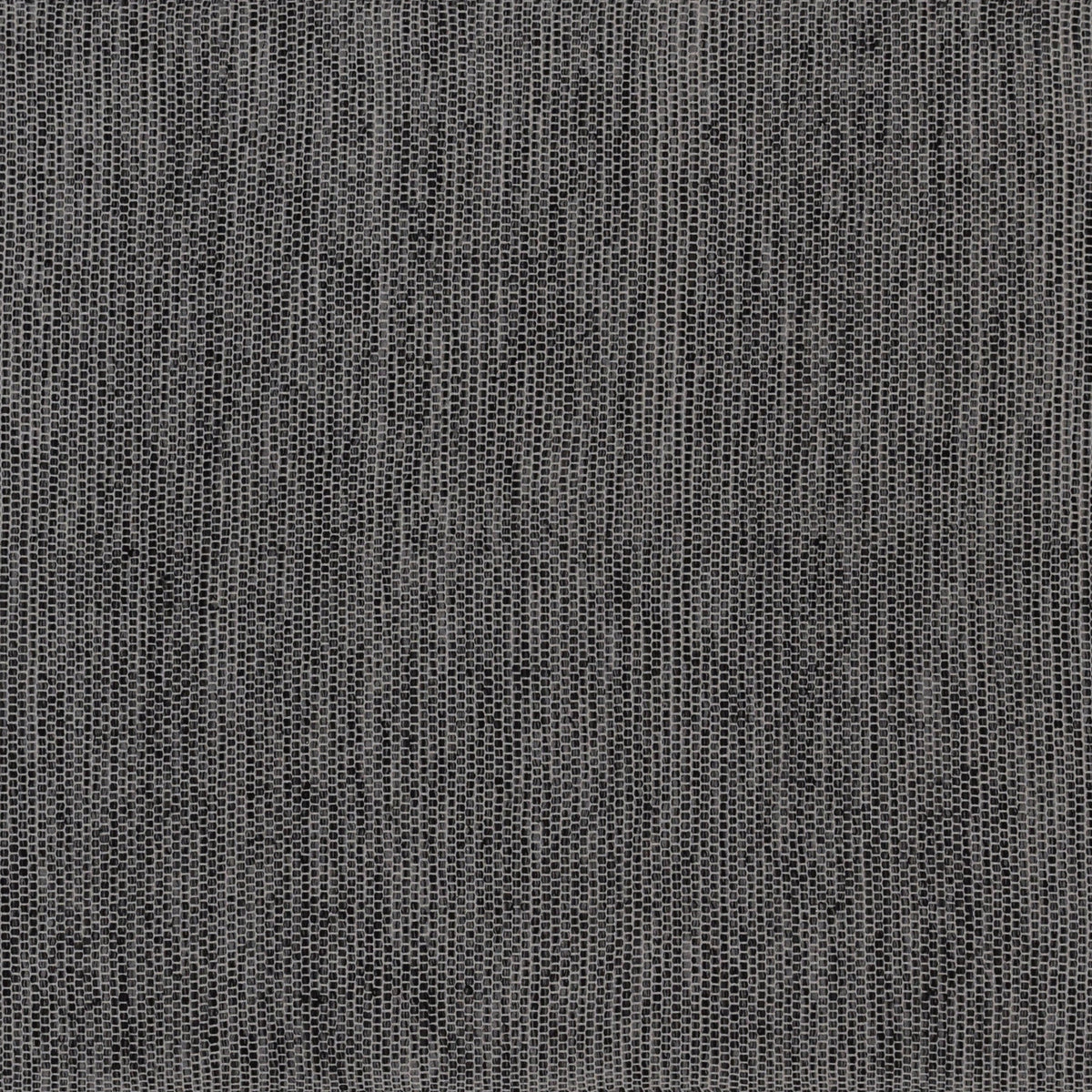 Alfombra de algodón con borde carbón IC15652 Negro/Blanco