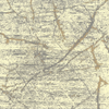Visualización con IA del detalle del diseño de alfombra SAS05